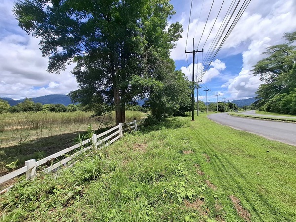 ขายที่ดิน เมืองนครนายก ต.สาริกา แปลงใหญ่ เนื้อที่ 11 ไร่ เดินทางสะดวก รายล้อมด้วยภูเขา โทร 084-1416555